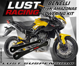 2006-2016 Benelli Tre-K 1130/899/Amazonas Lowering Kit, 25mm 1in