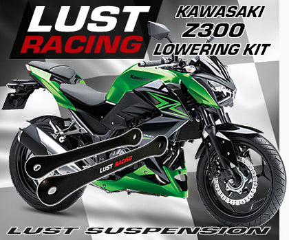 Kawasaki Z300 lowering kits