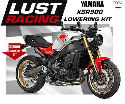 2021-2023 Yamaha MT-09 / MT-09 SP Lowering Kit, 30mm 1.2 in – LUST