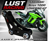2014-2016 Kawasaki Ninja 1000 Lowering Kit