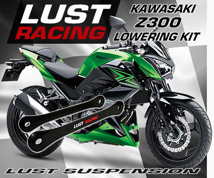 2015-2020 Kawasaki Z300 Lowering Kit, 40mm 1.6 in